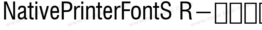 NativePrinterFontS R字体转换